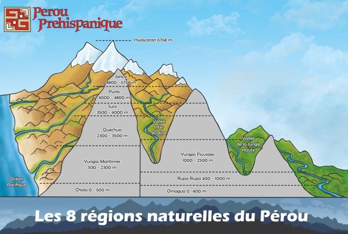 Géographie du Pérou 8-regiones-naturales-peru-graph-e1647973248431